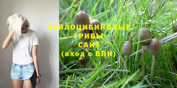 спайс Алексин