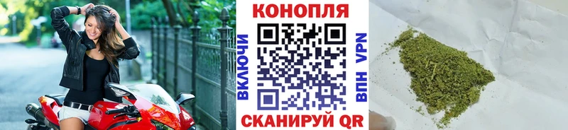 цена наркотик  Починок  Шишки марихуана индика 